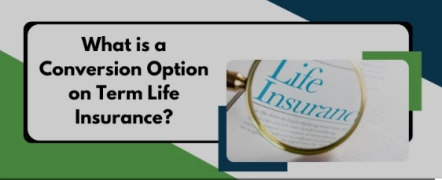 Term Life Insurance Conversion: Understanding Your Options