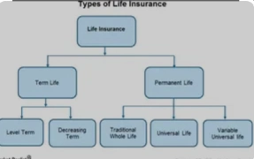 Types of Life Insurance Policies: Explained and Compared