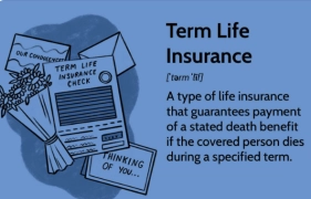 Is Term Life Insurance Right for You? Pros and Cons