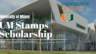 2024 University of Miami Stamps Scholarship | Fully Funded